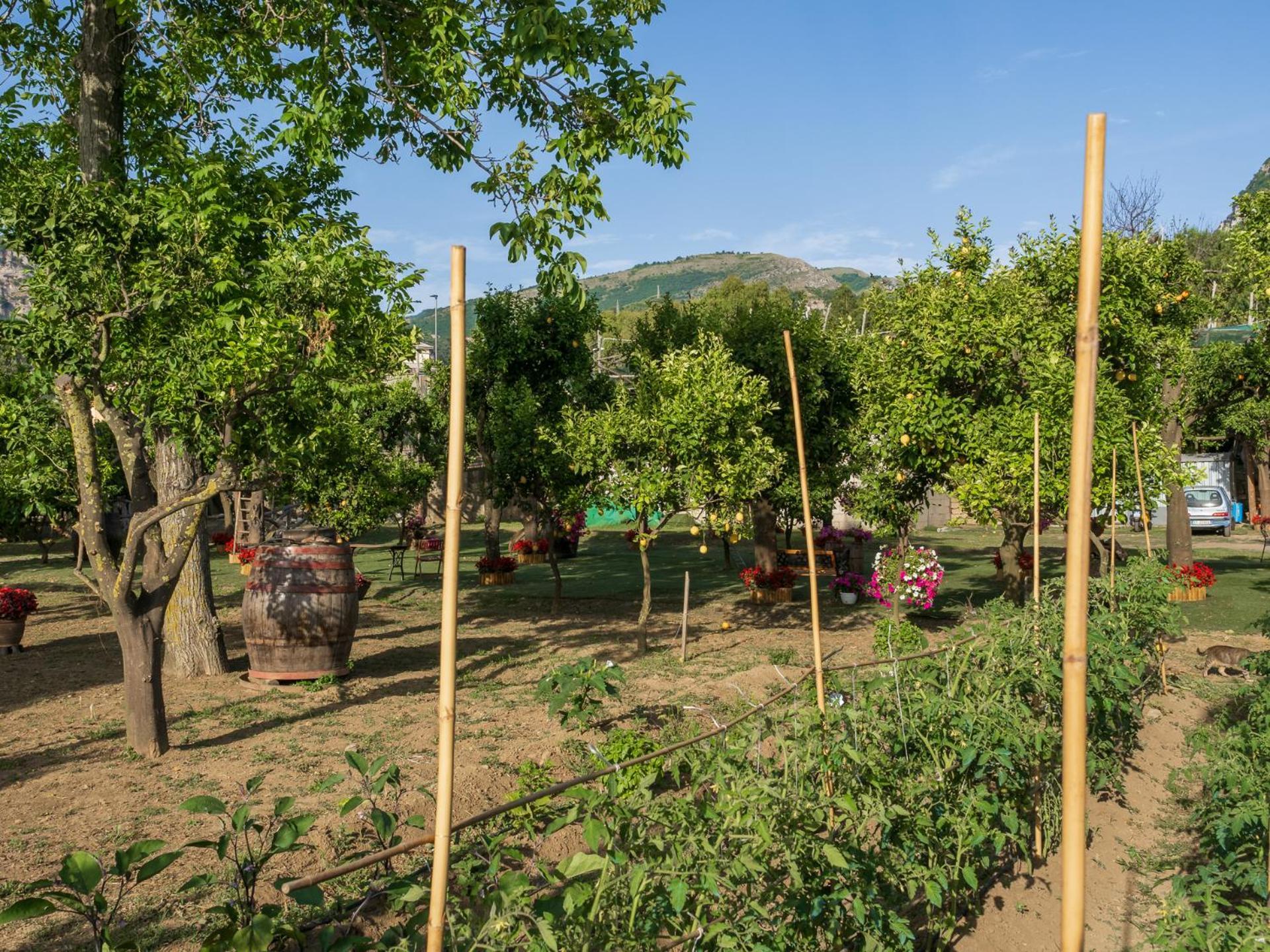 Villa Giardino Di Nonno Lucio - Surrounded By Lemon Tree à Piano di Sorrento Extérieur photo