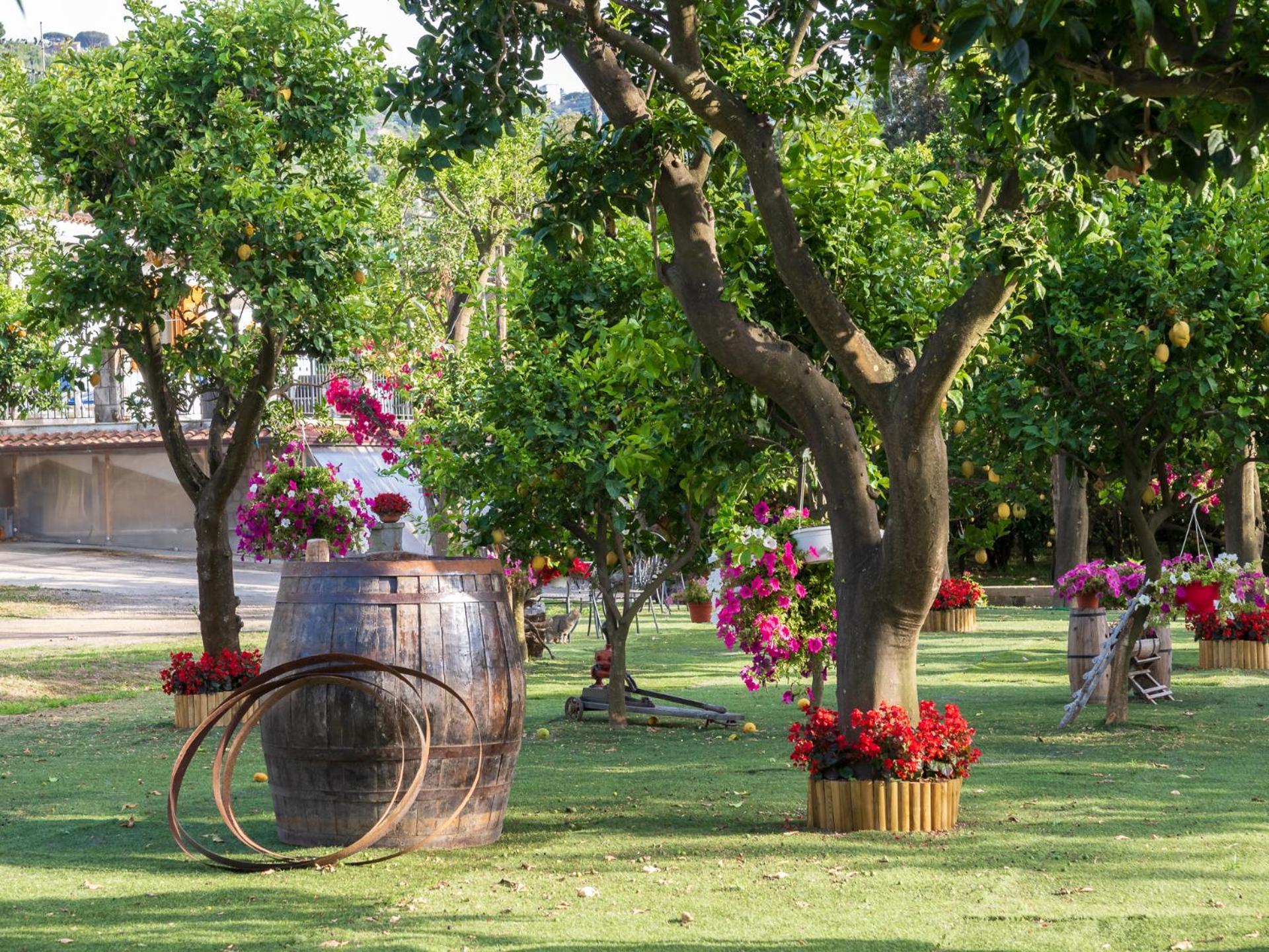 Villa Giardino Di Nonno Lucio - Surrounded By Lemon Tree à Piano di Sorrento Extérieur photo